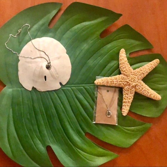 Sand Dollar Charm Silver Tone Coastal Necklace NWT - Picture 3 of 7